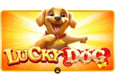 wika Lightning Dice studio with three dice and live dealer in HD broadcast